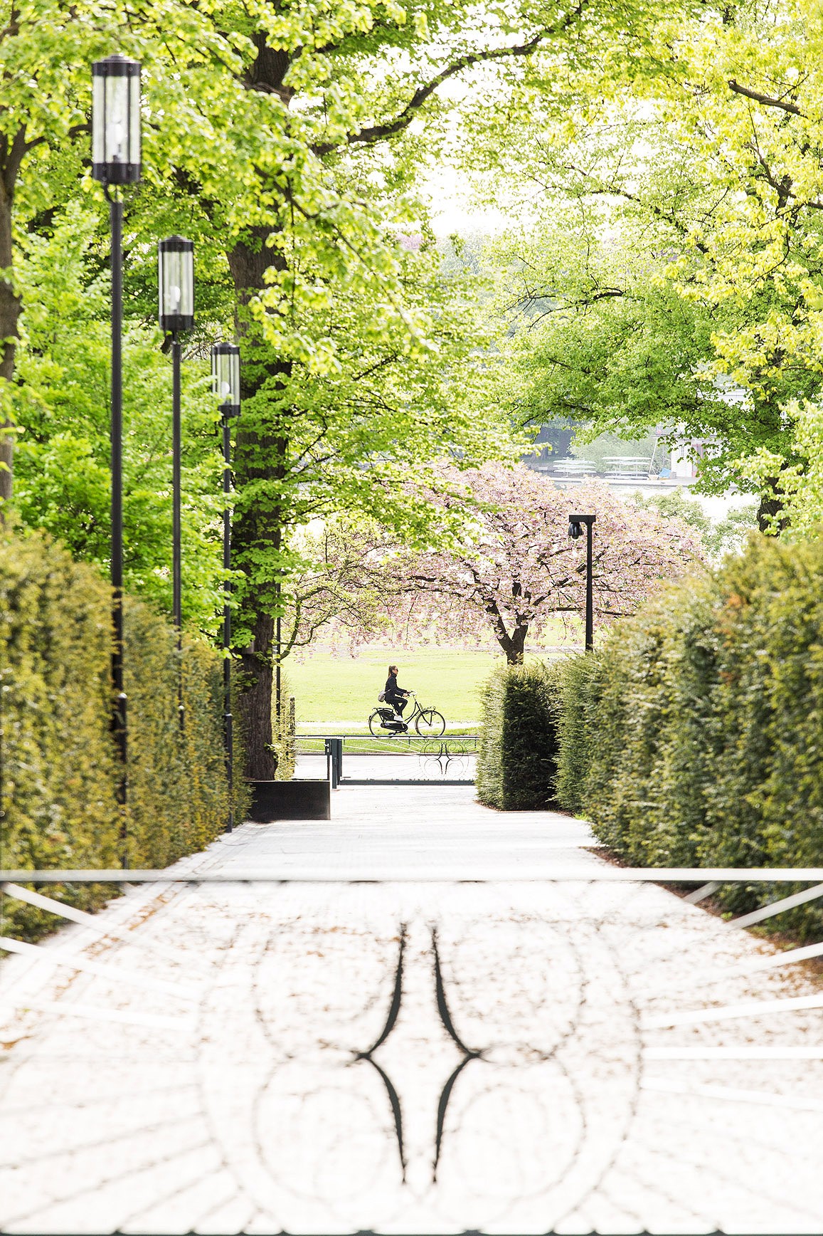 Private path to the Alster with a logo inlay in the paving, lined by hedges and lamps, a cyclist at the end
