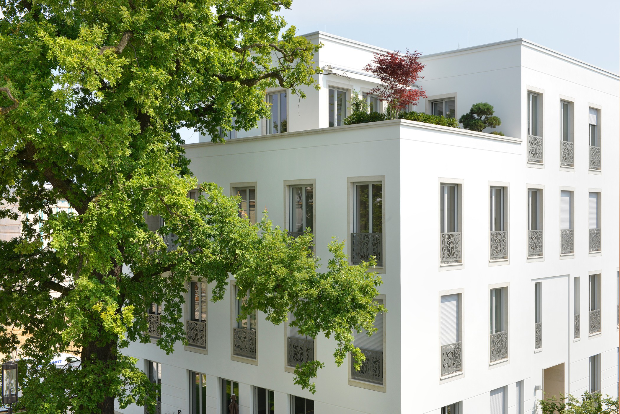 Parkvillen der Sophienterrassen mit eleganter weißer Fassadengestaltung, filigranen Balkongeländern und altem Baumbestand – exklusive Luxuswohnungen im grünen Umfeld